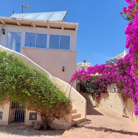 Bougainville Malaga